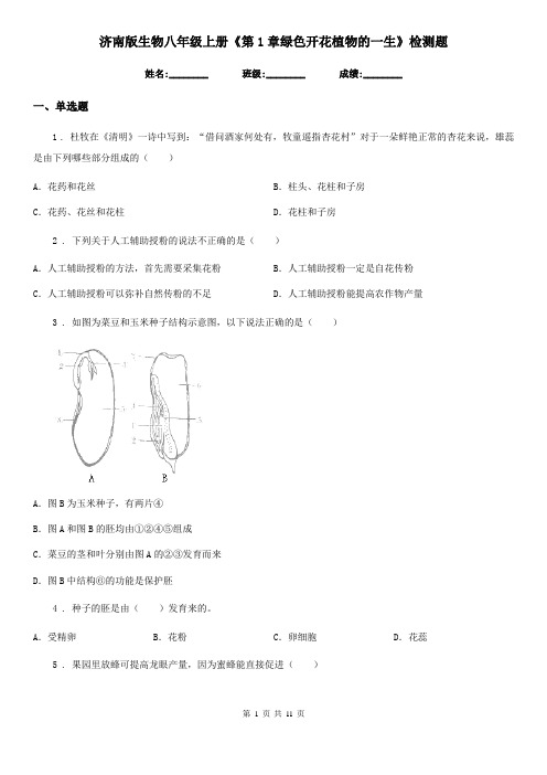 济南版生物八年级上册《第1章绿色开花植物的一生》检测题