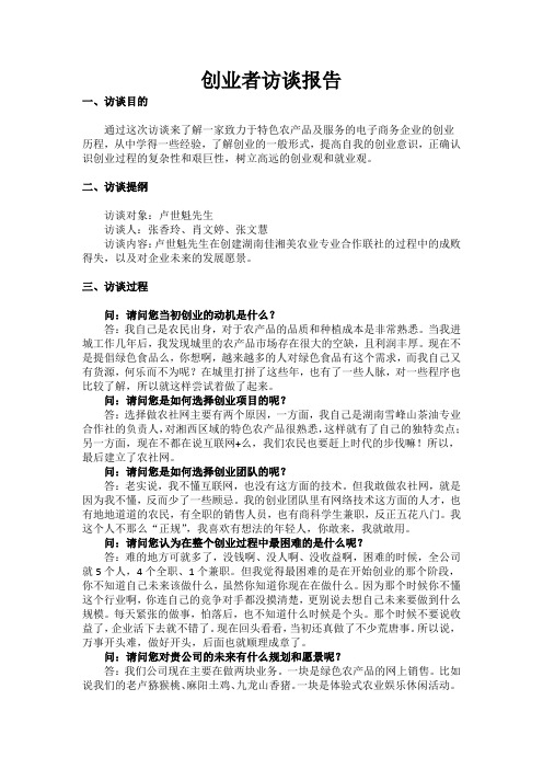 创业者访谈报告
