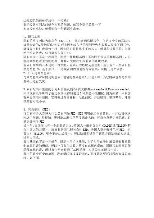 边牧颜色的遗传学规律
