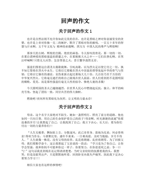 回声的作文