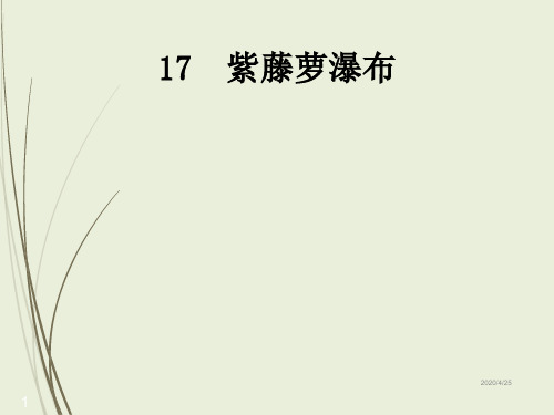 初一语文精品课件17 紫藤萝瀑布