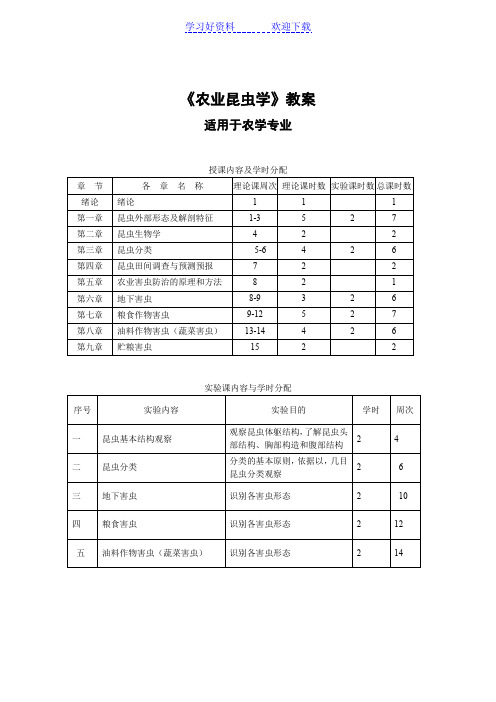 农学课件 《农业昆虫学》教案