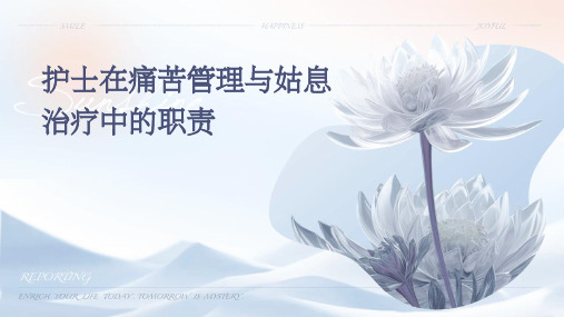 护士在痛苦管理与姑息治疗中的职责