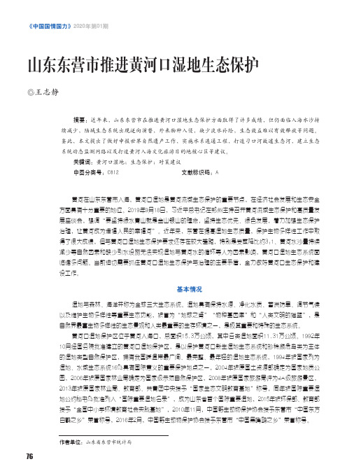 山东东营市推进黄河口湿地生态保护