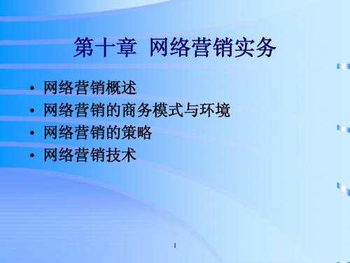 11第十章  网络营销实务byt