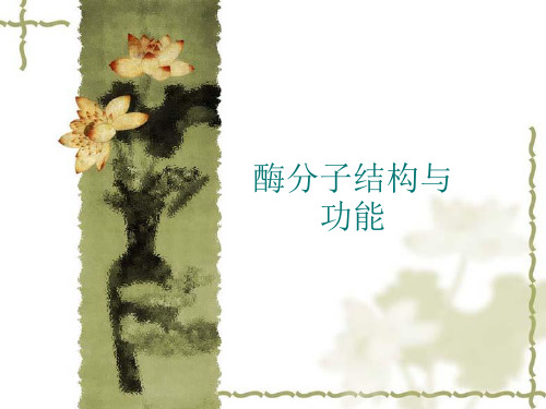 03酶分子结构与功能