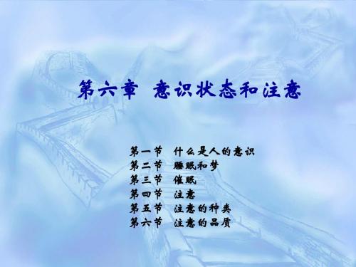 第六章   意识状态和注意