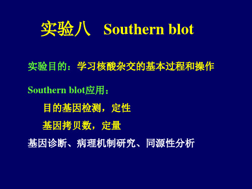 Southern blot