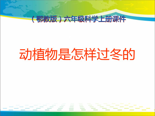 《动植物是怎样过冬的》四季中的变化PPT课件3【完美版课件】