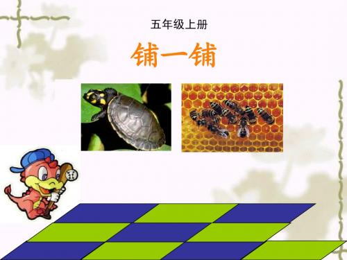 铺一铺课件