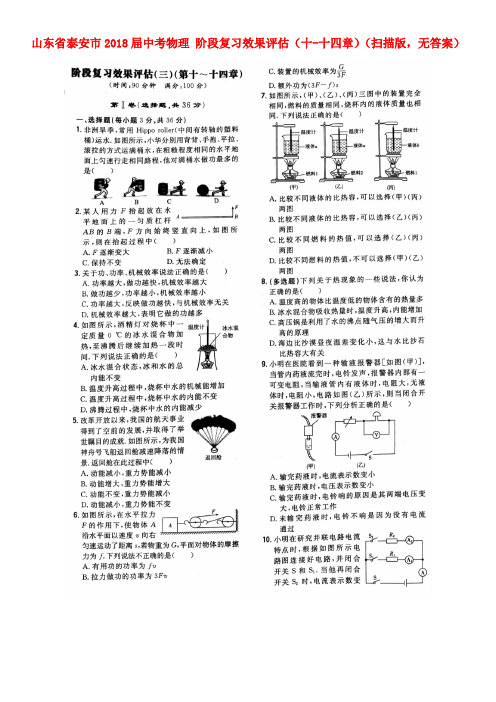 山东省泰安市2018屇中考物理 阶段复习效果评估(十-十四章)(扫描版,无答案)