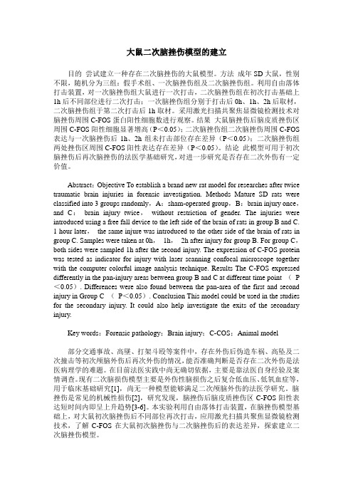 大鼠二次脑挫伤模型的建立