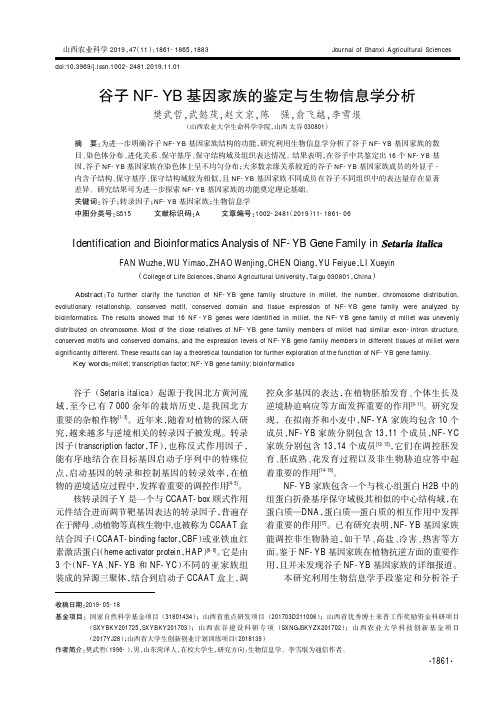 谷子nf-yb基因家族的鉴定与生物信息学分析