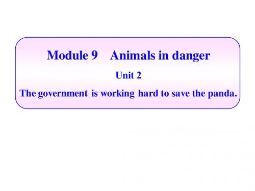 animal in danger 外研社