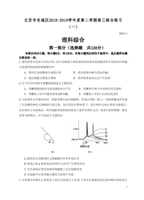 北京市东城区2018学年度第二学期高三综合练习(一)理综生物试题(含答案)-精品