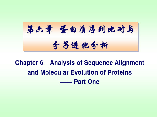 06_蛋白质序列比对与分子进化分析_2014-1