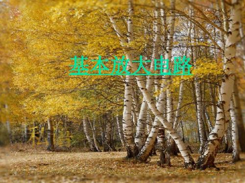 基本放大电路