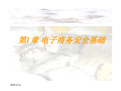 电子商务安全导论1-2