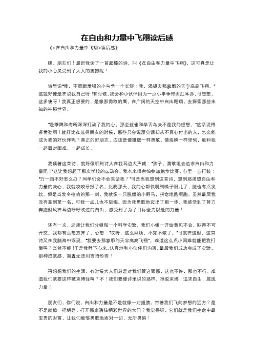 在自由和力量中飞翔读后感