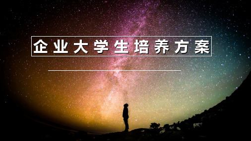 企业大学生培养方案