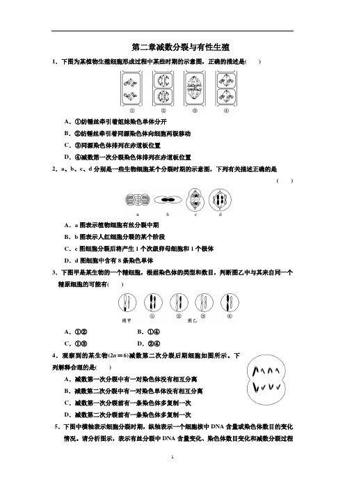 减数分裂与有性生殖练习