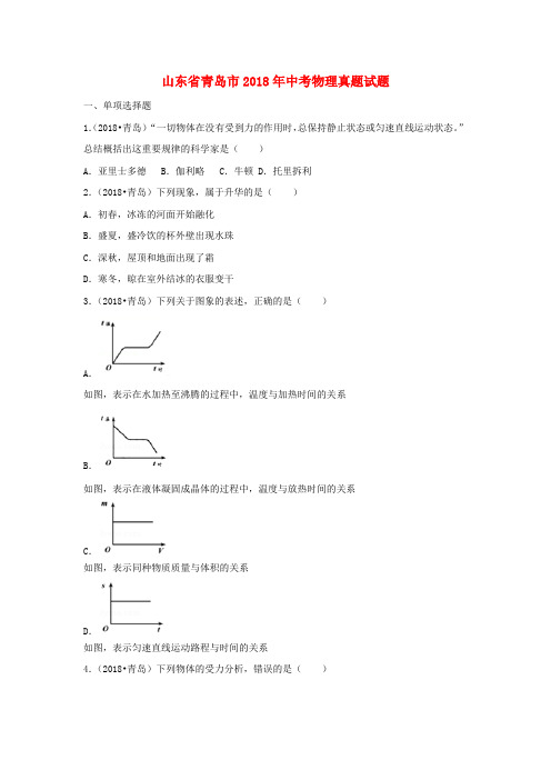 山东省青岛市2018年中考物理真题试题(含解析)