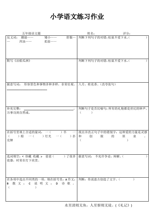 小学五年级语文课堂练习III (19)
