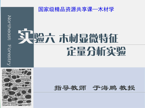 实验六木材显微特征定量分析 - 实验六木材显微特征定量分析