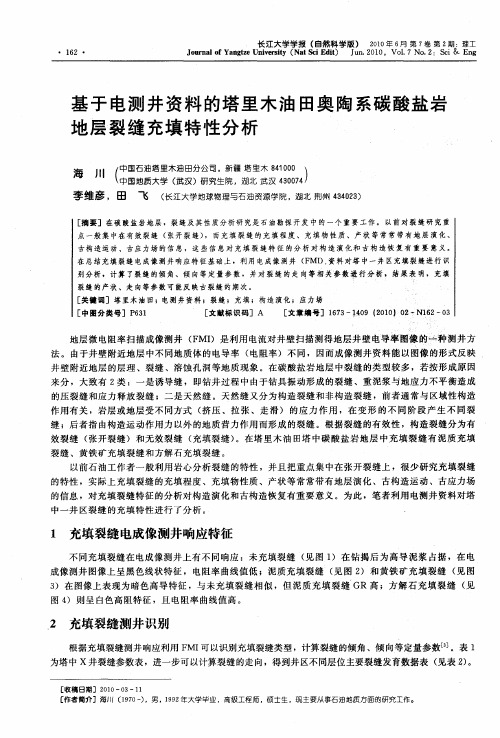 基于电测井资料的塔里木油田奥陶系碳酸盐岩地层裂缝充填特性分析