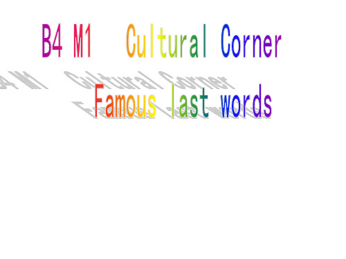 外研 高中英语必修4module1  cultural corner   (共24张ppt)