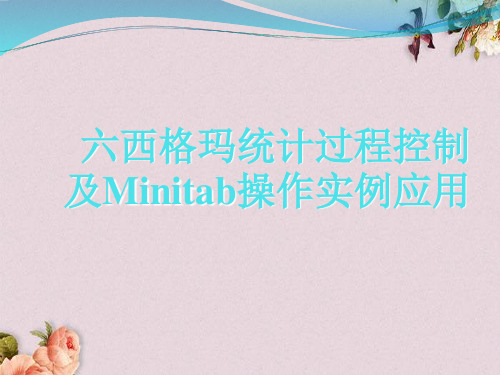 六西格玛统计过程控制及Minitab操作实例应用(PPT 页)
