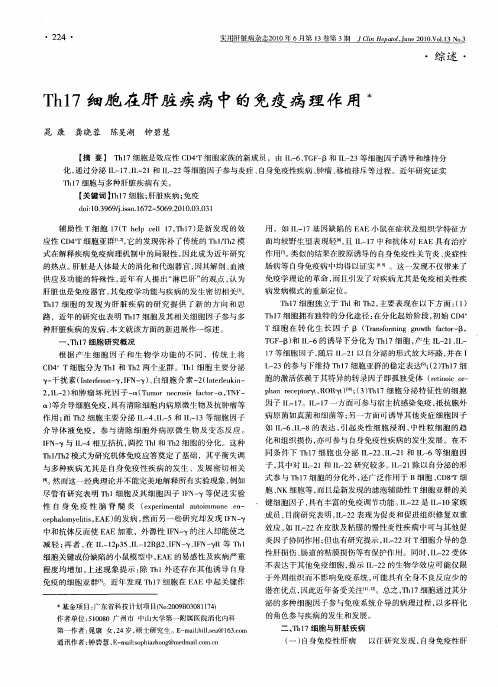 Th17细胞在肝脏疾病中的免疫病理作用