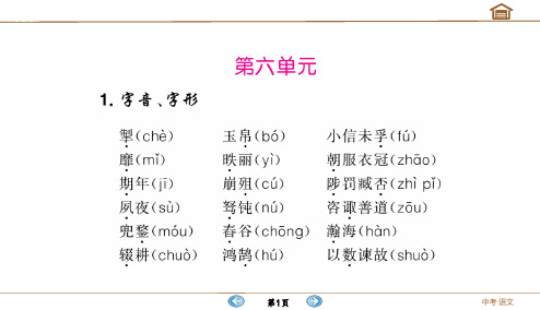 2020年春四川绵阳人教版初中语文中考专题复习第六单元
