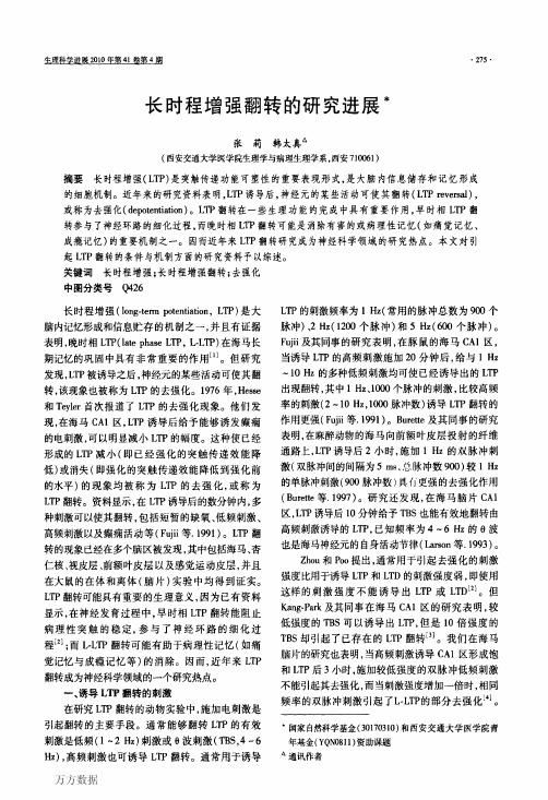 长时程增强翻转的研究进展