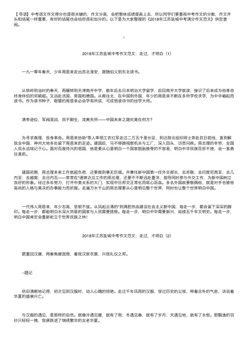 2018年江苏盐城中考满分作文范文：走过，才明白