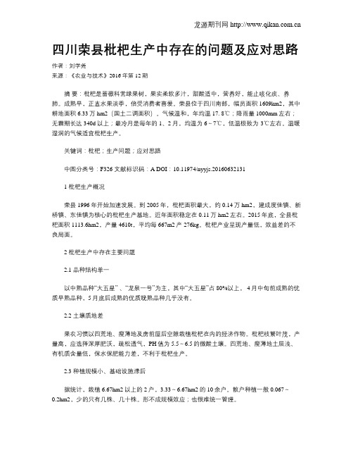 四川荣县枇杷生产中存在的问题及应对思路