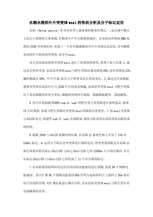 水稻水浸状叶片突变体wss1的性状分析及分子标记定位