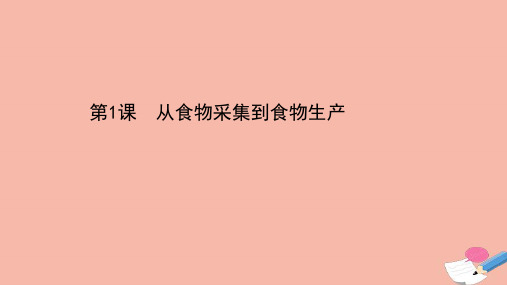 人教统编版高中历史选择性必修二：从食物采集到食物生产教学ppt课件37张