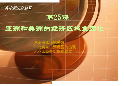 岳麓版高中历史必修二  第25课 亚洲和美洲的经济区域集团化