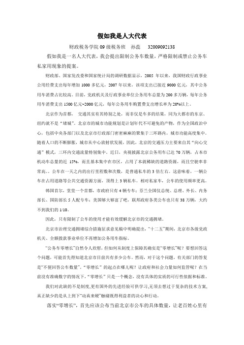 假如我是人大代表