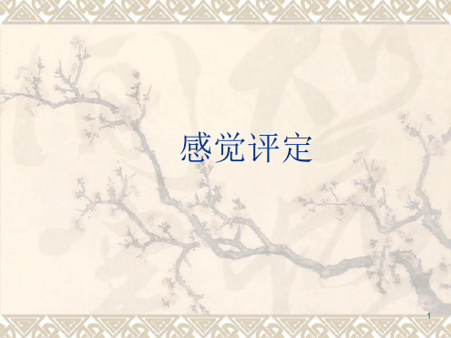 感觉功能评定