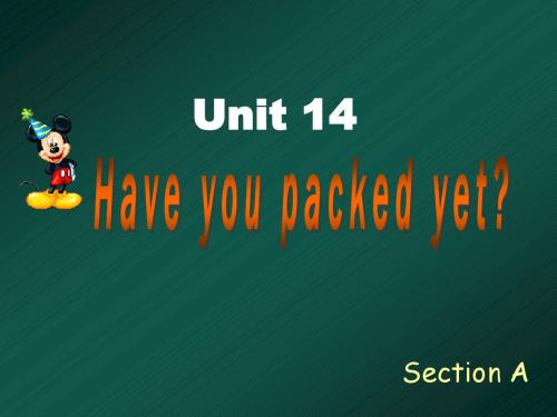 新目标九年级英语Unit_14_Have_you_packed_yet__Sectin_A
