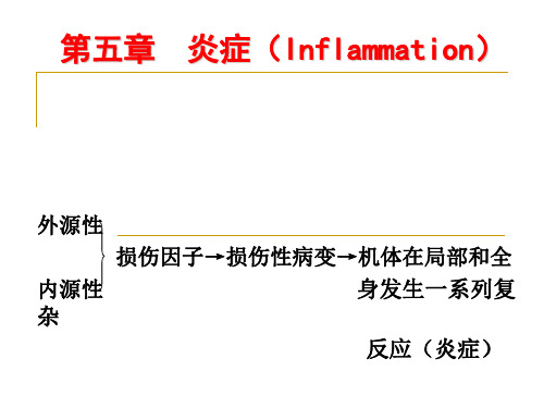 炎症(Inflammation)