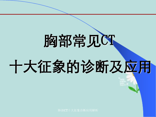 肺部CT十大征象诊断应用解析