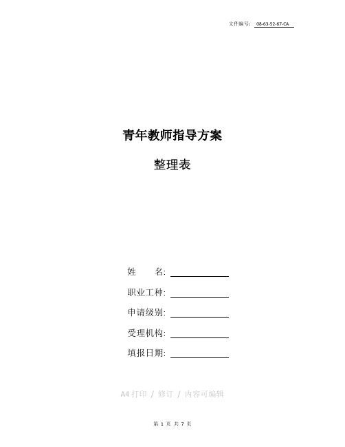 整理青年教师指导方案