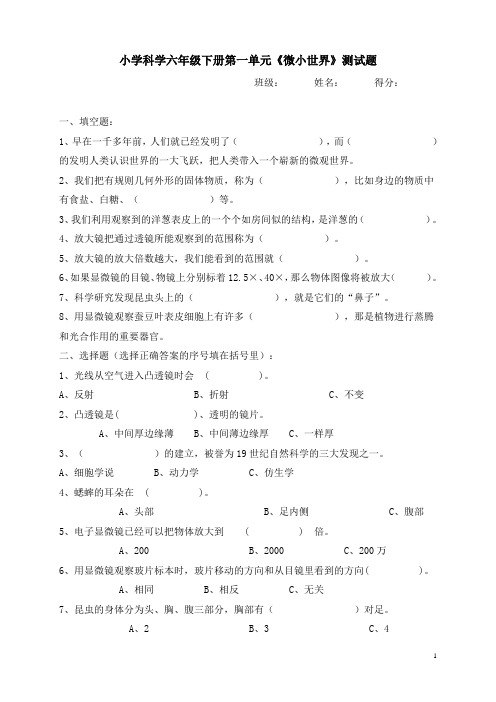 科学六年级下册第一单元《微小世界》测试题B(已排版可直接打印)