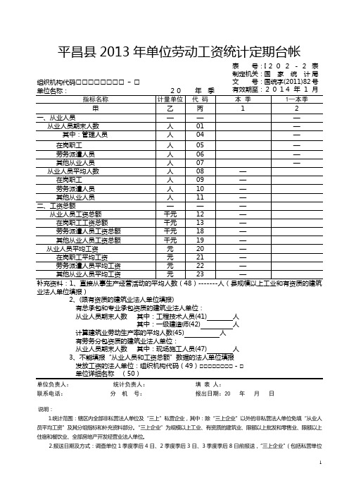 2013年工资统计基层台账报表