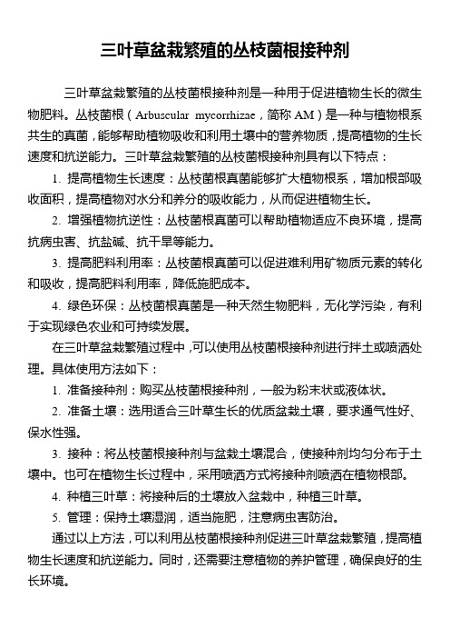 三叶草盆栽繁殖的丛枝菌根接种剂