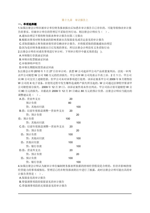 第十九审计报告上
