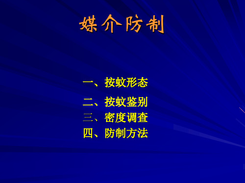 蚊虫形态及鉴别